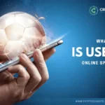 What Software is used by online Sportsbooks