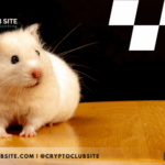 Image of a hamster on a table. Background shows a racing flag